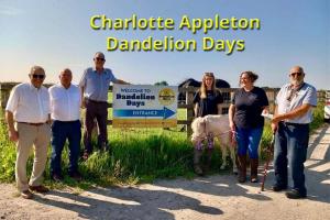 Dandelion Days